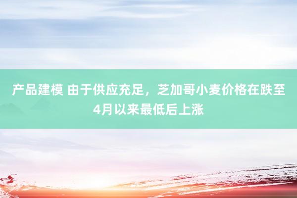 产品建模 由于供应充足，芝加哥小麦价格在跌至4月以来最低后上涨