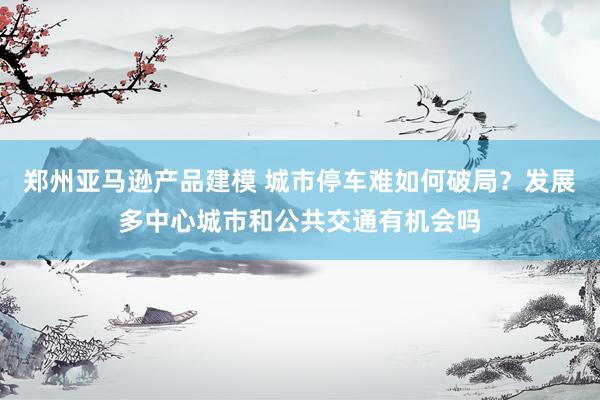 郑州亚马逊产品建模 城市停车难如何破局？发展多中心城市和公共交通有机会吗