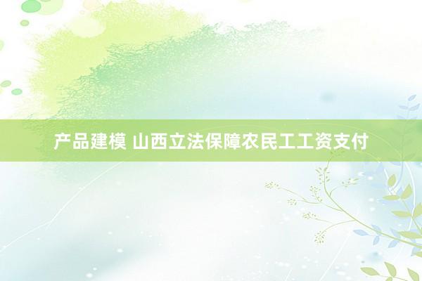 产品建模 山西立法保障农民工工资支付