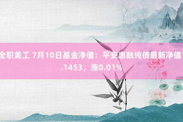 全职美工 7月10日基金净值：平安惠融纯债最新净值1.1453，涨0.01%